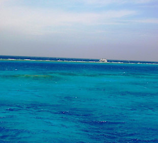 Dolphintour mit Oototo zum Zweiten