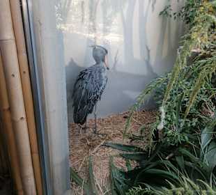 Zoologischer Garten Prag