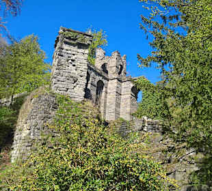 Schlosspark Wilhelmshöhe