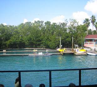 Miami Seaquarium