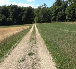 Tour entlang der Traifelbergfelsen