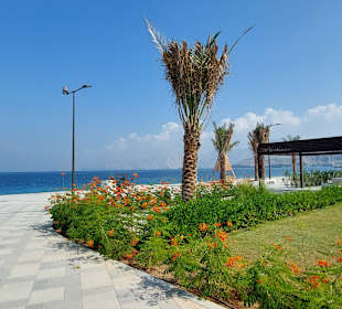 Bassah Beach