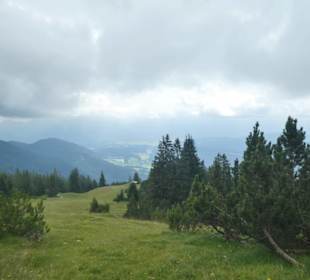 Bei unserer Wanderung auf dem Wank