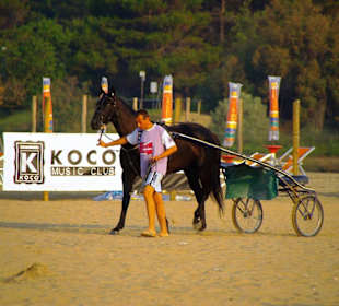 Strand in Bibione Juni 2012