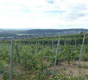 Auf dem Weg zur Abtei St. Hildegard bei Eibingen