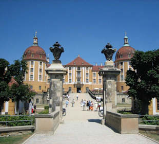 Schloss Moritzburg