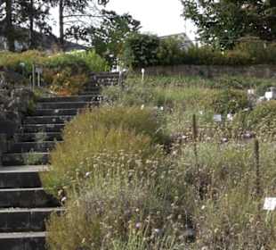 Alpinum