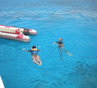 Dolphintour mit Oototo zum Zweiten