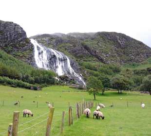Naturpark Beara Halbinsel 15min. von Kenmare