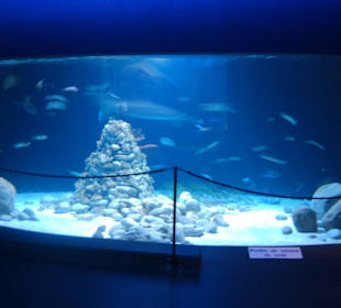 Zoo Warszawa