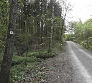 Wanderweg Firstwaldrunde