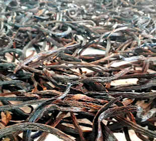 Plantage Vanilla-Bourbon