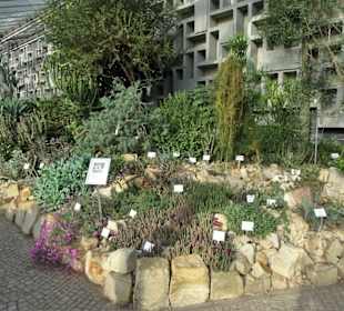 Die Tropengewächshäuser in "Planten un Blomen"