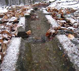 W drodzę na Ślężę