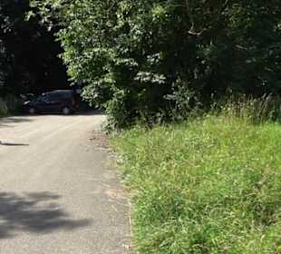 Premiumspazierweg Früchtetrauf-Leisawegle