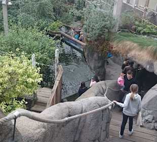 Universeum - Parklandschaft mit diversen Tieren