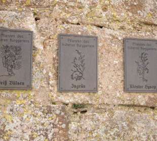 Pflanzen in der Burg