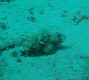 Tauchen bei der DiveConnection über Oototo gebucht