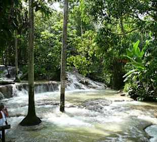 Dunn's Rivver Fall's bei Ocho's Rios