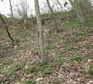 Wanderung rund um das Rusenschloss Gerhausen
