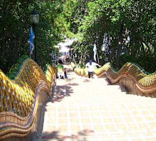 treppe