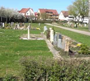 Friedhof