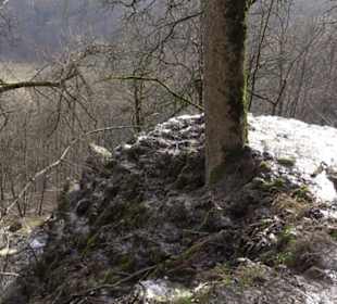 Gütersteiner Wasserfall