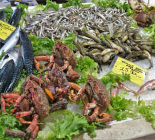 Impressionen vom Mercato Civico di San Benedetto