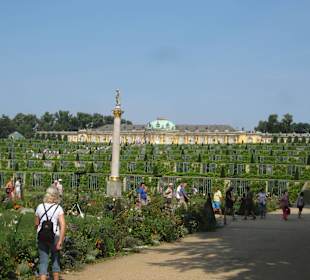 Sanssouci Schloss-/Schlossgartenimpression