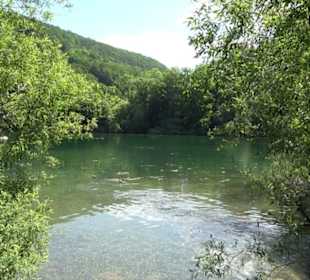 Wiesaztal Gönningen