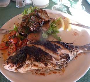 Dorade - lecker