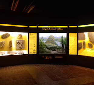 Museum Mensch und Natur in München