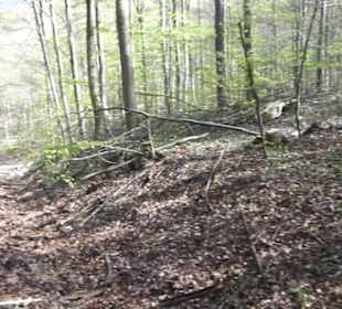 Wanderweg Hochgehkämpft