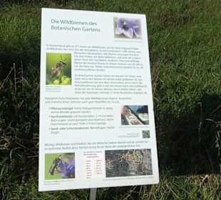 Botanischer Garten München