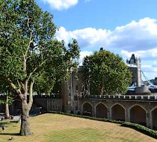 Tower of London 