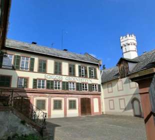 Schloss in Rüdesheim