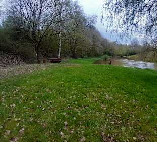 Dietschweiler Mühle in Kusel