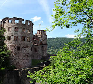 Schloss Heidelberg und Umgebung