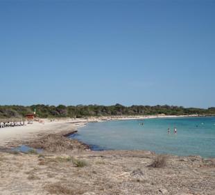 Strandabschnitt Es Dofi