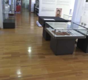 Theodor Zink Museum