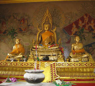 Auf dem Big Buddha-Hill