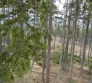 Karkonoski Park Narodowy