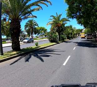 Funchal Avenue de Mar 