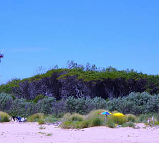 Anfang Naturschutzgebiet