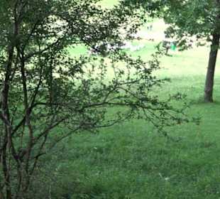 Themenweg Kaiserweg Zimmern