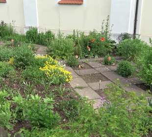 Kräutergarten Heiligenbronn