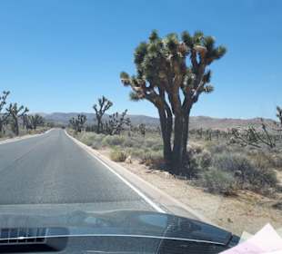 Impressionen von der Deserts-Region