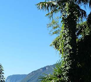 Mediteran (warum auch immer nicht gerade)