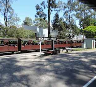 Mit der Puffing Billy Dampfbahn unterwegs