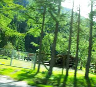Der Wildpark